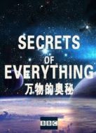 BBC：萬物的奧秘海報