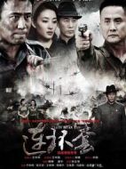 連環套劇情介紹(1-39全集)