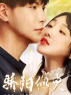 驕陽似火劇情介紹(1-12全集)