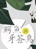 鱷魚(yú)與牙簽鳥(niǎo)DVD版劇情介紹(1-50全集)