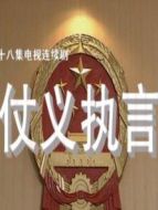 仗義執言劇情介紹(1-18全集)