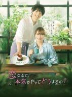 戀愛何必認(rèn)真？劇情介紹(1-0全集)