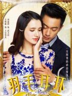 羽毛耳環劇情介紹(1-60全集)