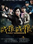 戰狼·戰狼劇情介紹(1-50全集)