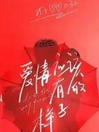 愛情應該有的樣子劇情介紹(1-30全集)