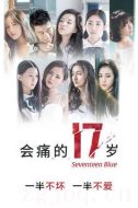 會痛的17歲劇情介紹(1-24全集)