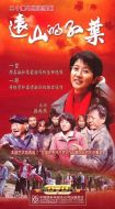 遠(yuǎn)山的紅葉劇情介紹(1-20全集)