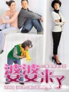 婆婆來了DVD劇情介紹(1-26全集)