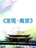 發現南京劇情介紹(1-5全集)