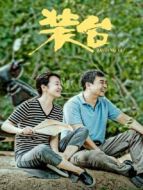 裝臺劇情介紹(1-33全集)
