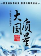 大國質量劇情介紹(1-5全集)