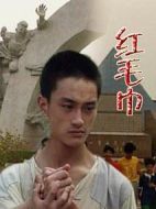 紅毛巾劇情介紹(1-6全集)