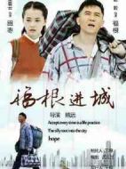 福根進城劇情介紹(1-49全集)