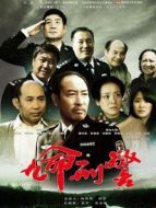 九命刑警DVD劇情介紹(1-30全集)