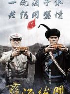 彝海結盟劇情介紹(1-36全集)