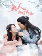 夫人，大可不必劇情介紹(1-12全集)