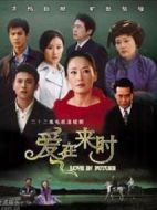 愛在來(lái)時(shí)劇情介紹(1-22全集)