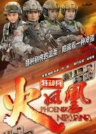 我是特種兵之火鳳凰（精簡版）劇情介紹(1-52全集)