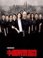 中國刑警803劇情介紹(1-50全集)