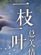 一枝一葉總關情海報