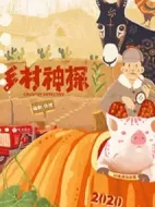 鄉村神探劇情介紹(1-30全集)
