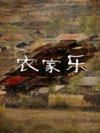 農家樂劇情介紹(1-120全集)
