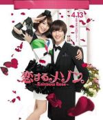 戀愛滿屋之彩虹玫瑰劇情介紹(1-11全集)