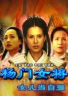 楊門女將之女兒當自強劇情介紹(1-20全集)