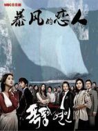 暴風的戀人劇情介紹(1-69全集)