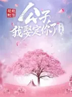 公子，我娶定你了3劇情介紹(1-12全集)