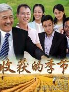 收獲的季節劇情介紹(1-30全集)