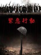 緊急行動劇情介紹(1-33全集)