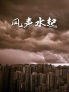 風聲水起劇情介紹(1-18全集)