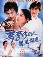 走向暴風雨劇情介紹(1-34全集)