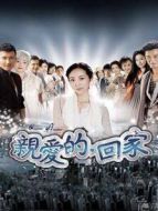 親愛的回家 DVD版劇情介紹(1-36全集)