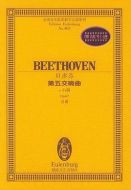 命運交響曲劇情介紹(1-30全集)