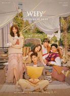 WHY：你被戀人甩的真正理由劇情介紹(1-10全集)