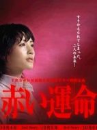 赤色命運劇情介紹(1-9全集)