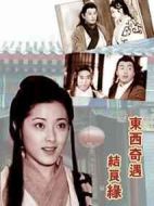 東西奇遇結良緣劇情介紹(1-45全集)