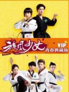 旋風(fēng)少女 VIP青春典藏版劇情介紹(1-16全集)