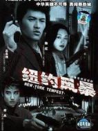 紐約風暴劇情介紹(1-20全集)