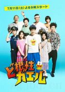 全力青蛙劇情介紹(1-10全集)