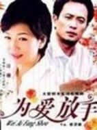 錯愛2劇情介紹(1-26全集)