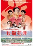 石榴花開(kāi)劇情介紹(1-32全集)
