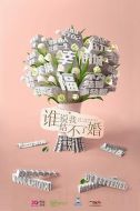 誰說我結不了婚劇情介紹(1-40全集)