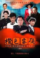橙色密碼劇情介紹(1-53全集)
