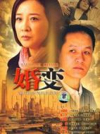 婚變劇情介紹(1-28全集)