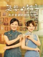 婆婆的鐲子 高質量婆媳相處之道劇情介紹(1-12全集)