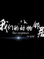 我們的動物鄰居劇情介紹(1-4全集)