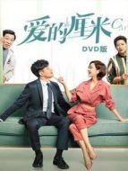 愛的厘米 DVD版海報(bào)
